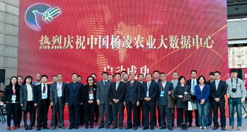 北京電子信息職業(yè)教育集團(tuán) 打造產(chǎn)教融合新生態(tài)，賦能教育信息服務(wù)升級